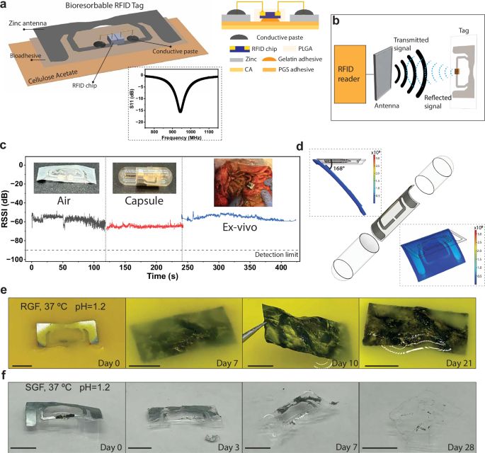 Fig. 2: Electrical characterization of bioresorbable RFID tag.