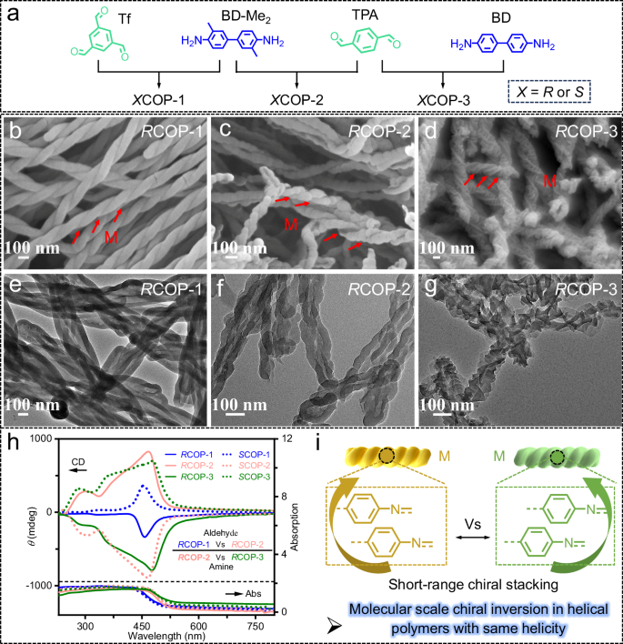 Fig. 2: Structural control of helical polyimines revealing identical mesoscopic helicity but reversed molecular-scale chiral stacking.