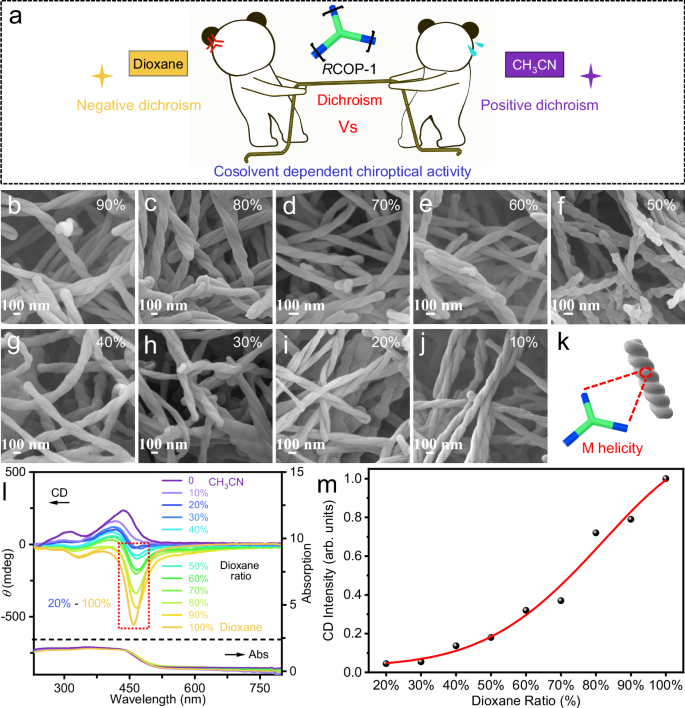 Fig. 5: Cosolvent-regulated chiroptical modulation and nonlinear CD response in helical RCOP-1.