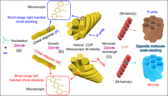 Fig. 8: Formation of CCOFs with identical mesoscale helicity but opposite chiroptical responses.