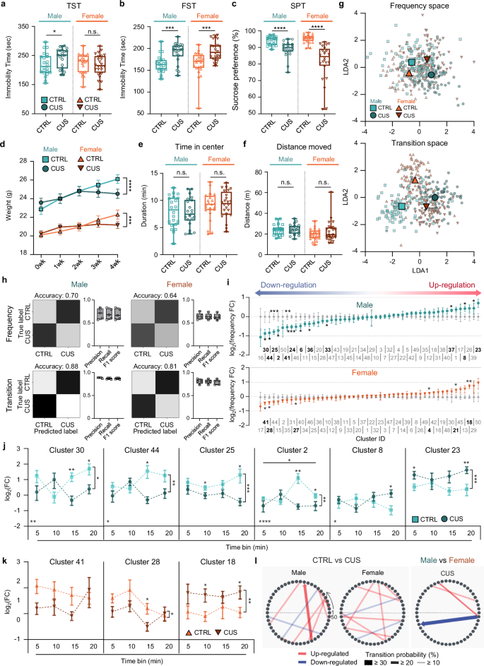 Fig. 3: Chronic unpredictable stress modifies the structure of exploratory behavior in a sex-dependent manner.