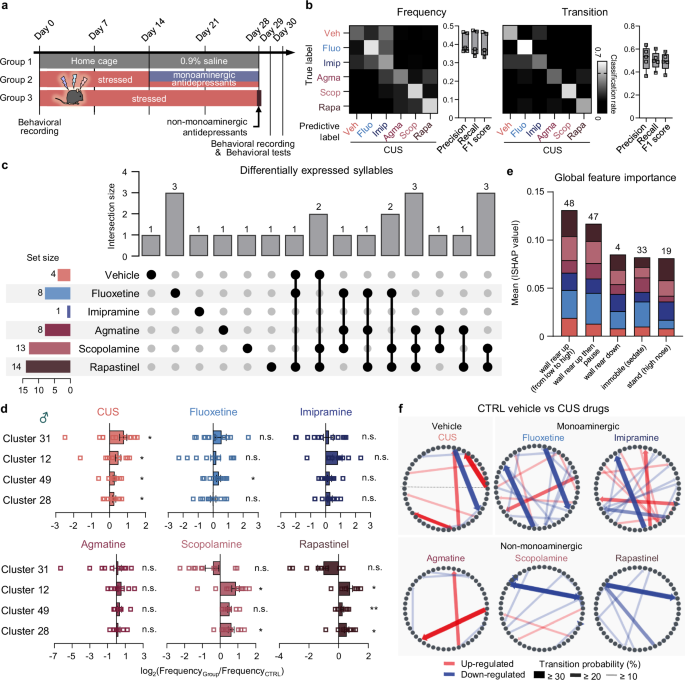 Fig. 5: ML-guided discovery of antidepressant individuality expressed in mouse exploratory behavior.