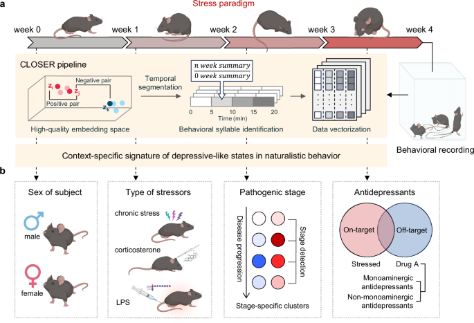 Fig. 6: The workflow of the CLOSER framework for the discovery of latent depressive-like behavior in naturalistic movement.