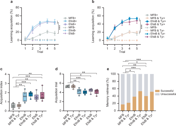 Fig. 4: Aversive learning and memory of honeybees are modulated by oral supplementation of Enterococcus.