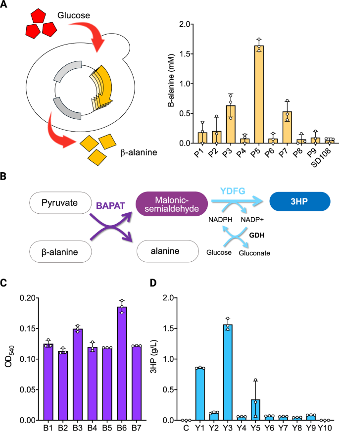 Fig. 2: Discovery and characterization of new pathway genes in the β-alanine pathway for 3HP production.