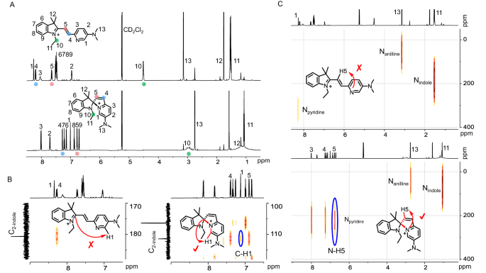 Fig. 3: NMR spectra of PMC2/SIZ2.