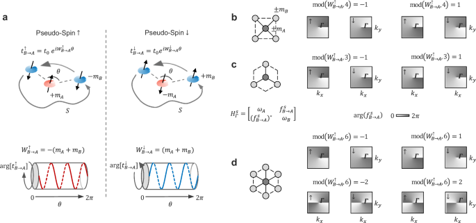 Fig. 1: Coupling winding number: definition, pseudo-spin-contrasting characteristics, and k-space vortices.