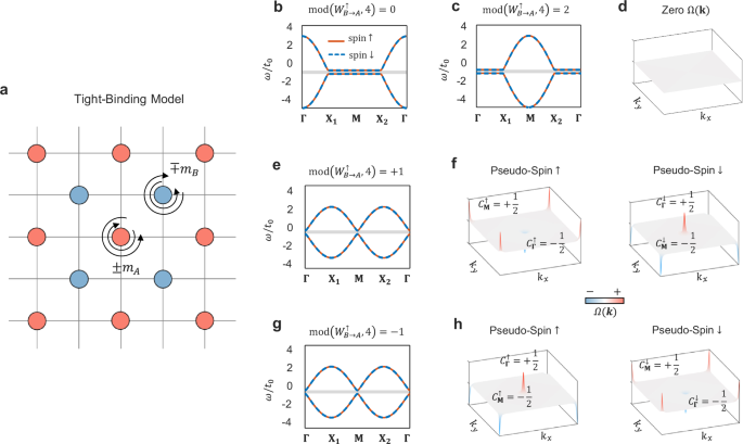 Fig. 2: Spin-valley Hall phases realized in 4-fold rotational symmetric square lattices.