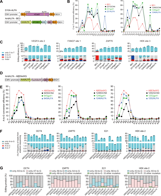 Fig. 4: Expanding Plug-in BE with ALFA system.