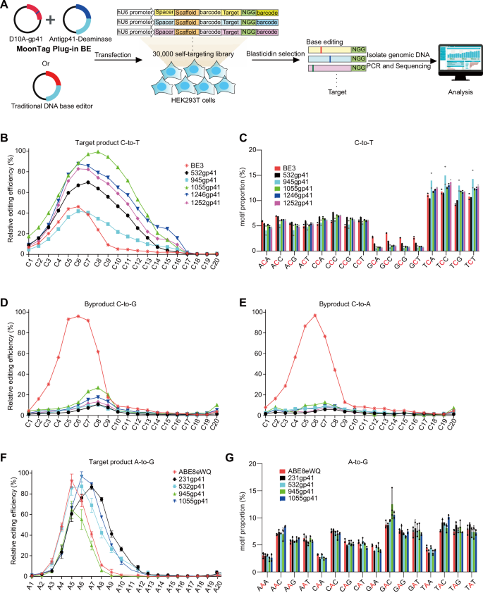 Fig. 6: Systemically characterization of Plug-in BE using self-targeting library.