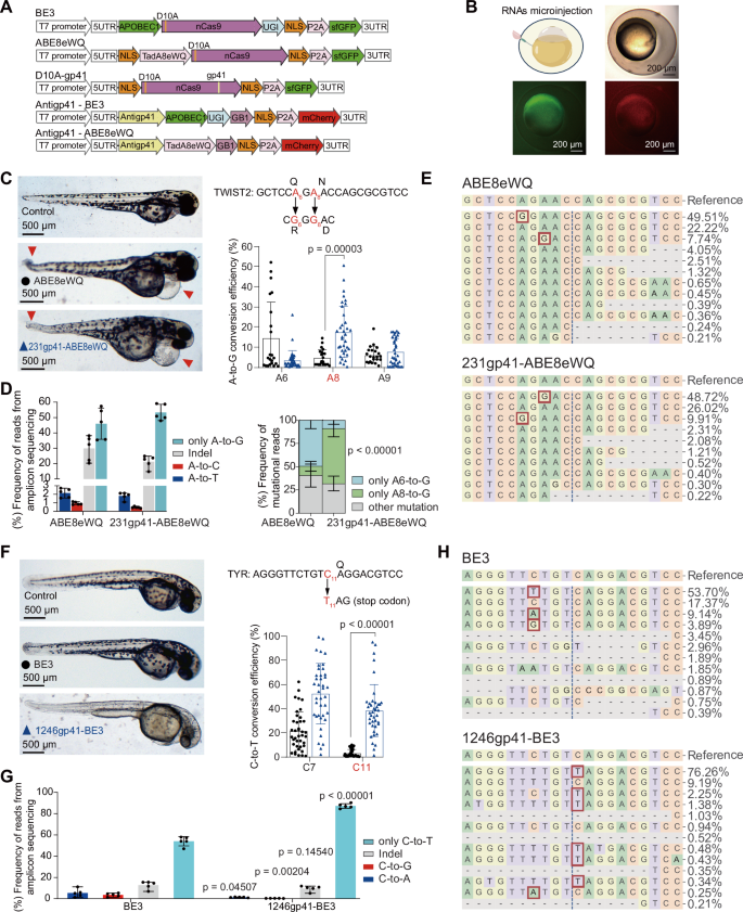 Fig. 7: Targeted editing in challenging sequence regions using Plug-in BE.