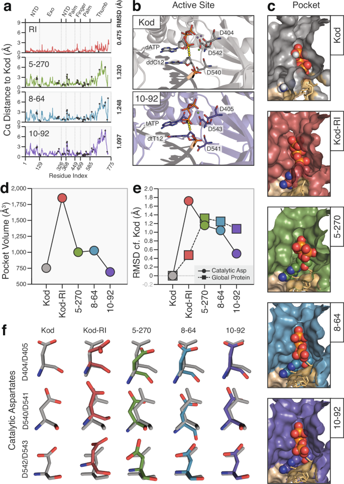 Fig. 3: Stepwise changes in global and local structural conformation.