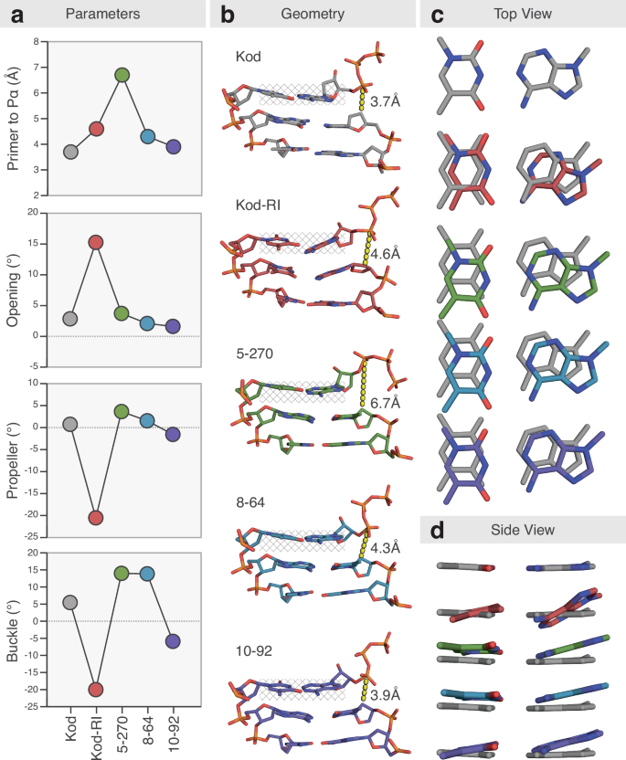 Fig. 4: Structural optimization of the nascent base pair and reaction center.