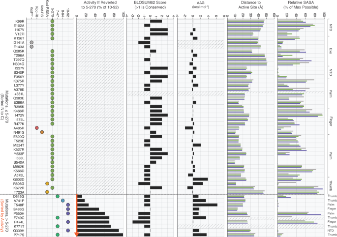Fig. 5: Integrated analysis of 51 mutations acquired during the evolution of 10–92.