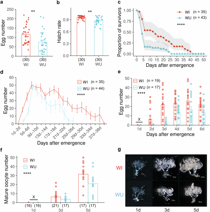 Fig. 1: Wolbachia promotes fitness and ovary development in female SBPH.