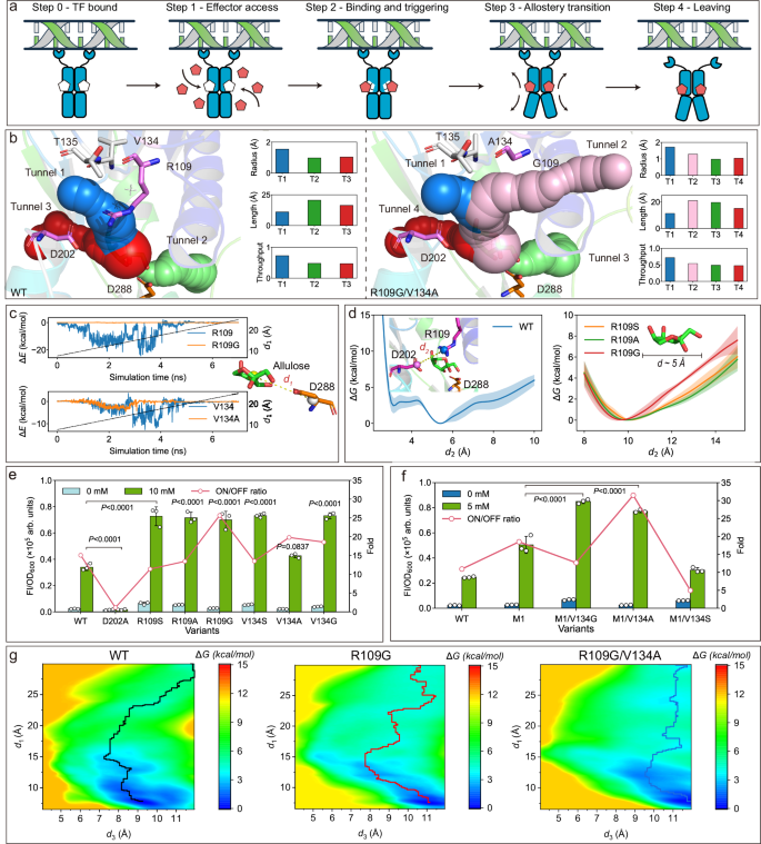 Fig. 4: Tunnel engineering of PsiR to increase the sensitivity and dynamic range.