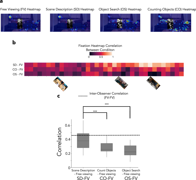 Fig. 2: Fixation heat map correlations across conditions.