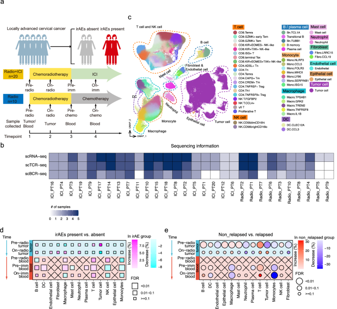 Fig. 1: Dynamic single-cell multi-omics landscape of LACC patients during chemoradiotherapy and ICI.