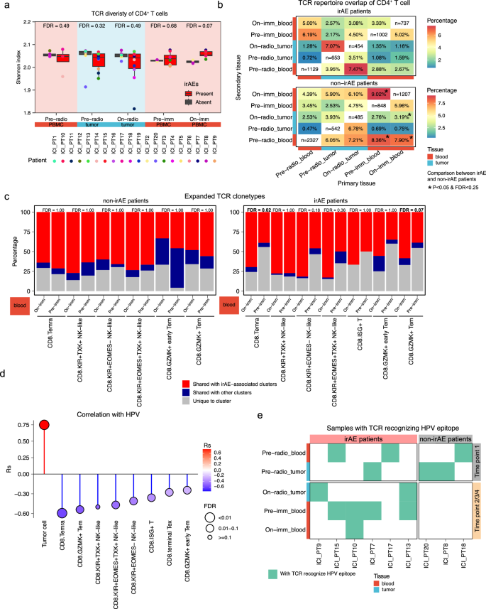Fig. 3: irAE-related changes in T cell clonotypes.