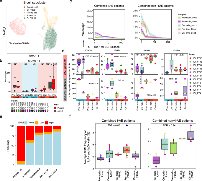 Fig. 4: Characterization of B cell isotypes and clonotypes in response to chemoradiotherapy in irAE versus non-irAE patients.