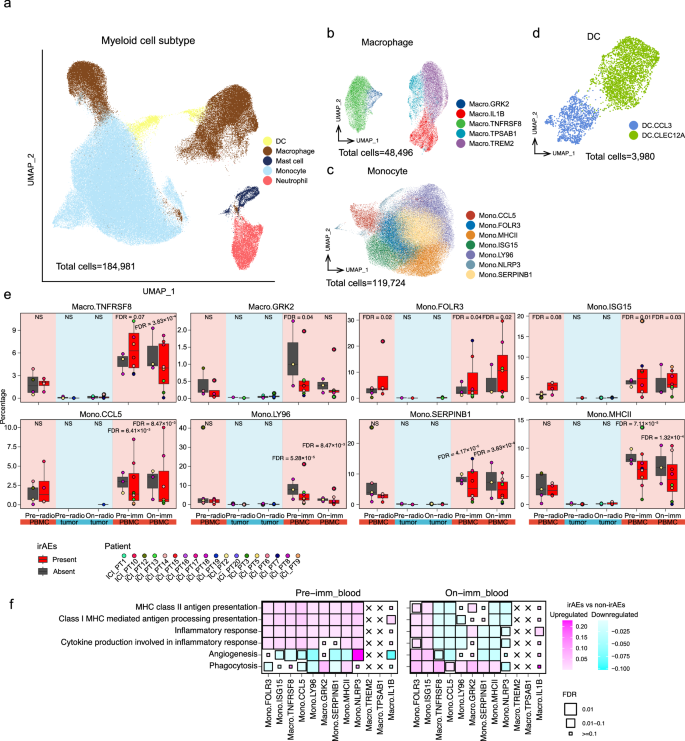 Fig. 5: Inflammatory and phagocytosis gene expression in myeloid cells are associated with irAEs.