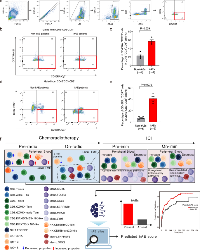 Fig. 8: Validation of the association between CD8.Terma and irAEs.