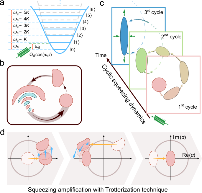 Fig. 1: Schematic illustration for achieving quantum squeezing amplification with a Kerr nonlinear oscillator.