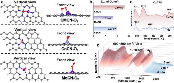 Fig. 3: Mechanism investigations of O2 activation.