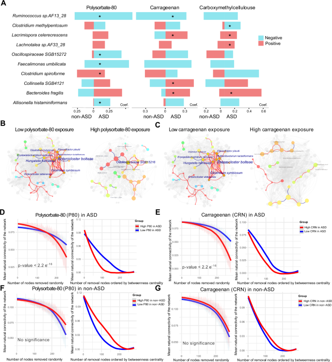 Fig. 4: Emulsifiers-driven disruption of microbial ecological networks in ASD.