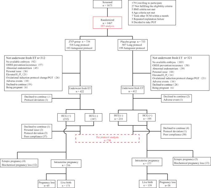 Fig. 1: Study flowchart.