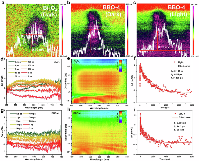 Fig. 5: Surface potential and carrier dynamics of BBO.