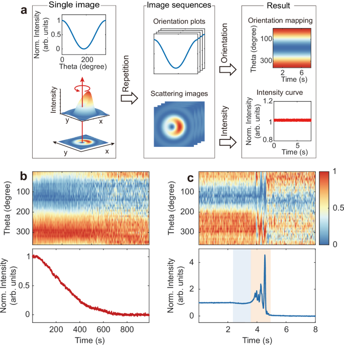 Fig. 3: Concentration-dependent oxidation behavior of Ag NSs in FeCl3 solution probed by RESM.