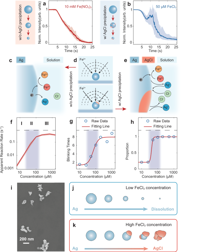 Fig. 4: Concentration-dependent reaction kinetics and morphological transformations of Ag NSs.