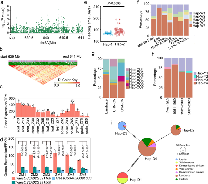 Fig. 1: TraesCS3A02G391100 is associated with flowering traits.