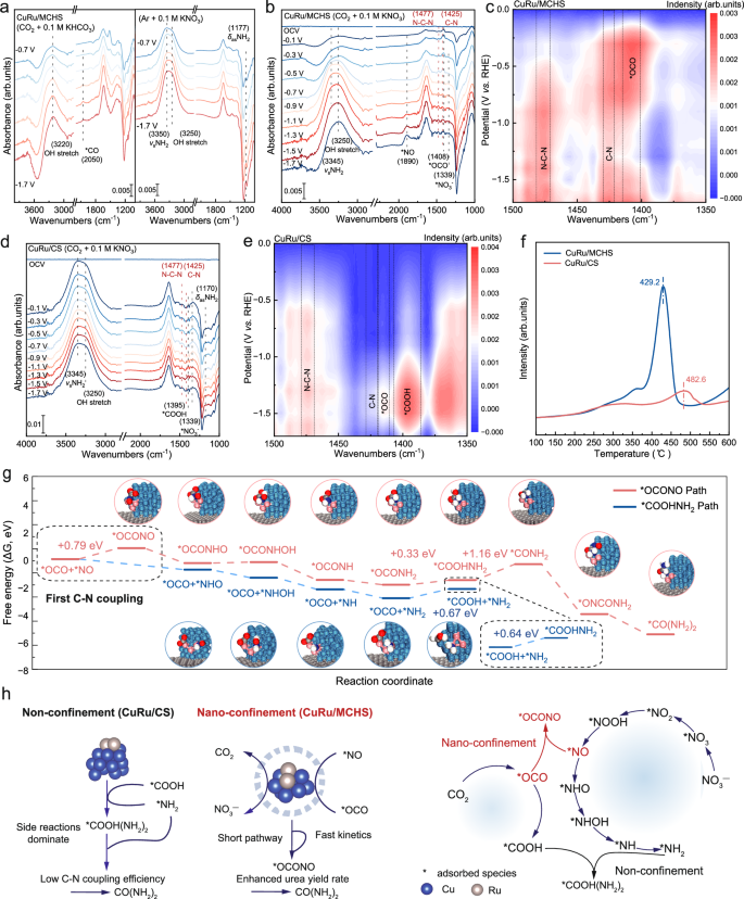 Fig. 4: Mechanistic study of CuRu/MCHS and CuRu/CS.