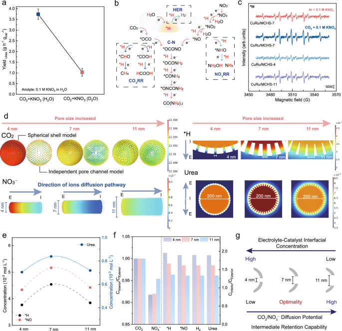 Fig. 6: Mechanism of nano-confinement effect in urea electrosynthesis.