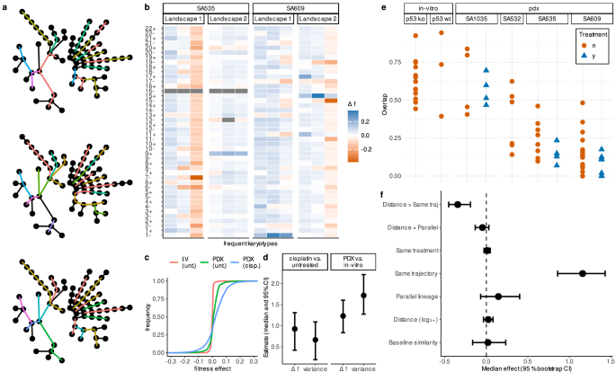 Fig. 4: Parent cell karyotype and treatment context shape CNA fitness effects.