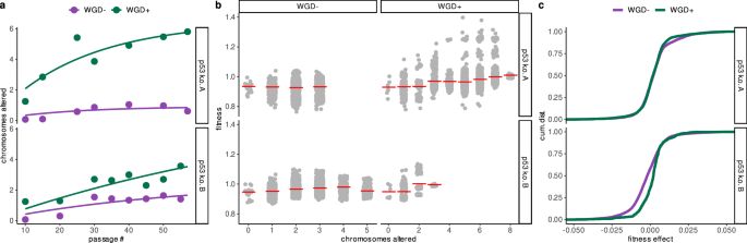 Fig. 5: Whole-genome doubling accelerates and reshapes aneuploidy evolution.