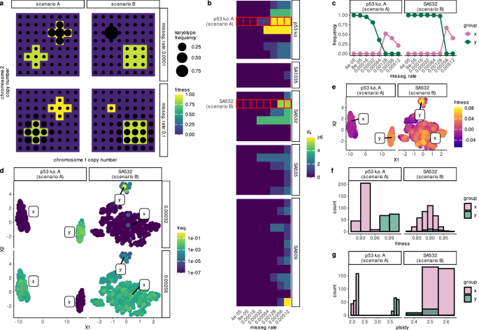 Fig. 6: Influence of missegregation rate on karyotype selection.