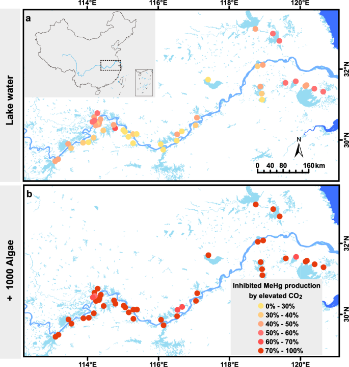 Fig. 1: Elevated CO2-inhibited MeHg production in lakes along the middle and lower reaches of the Yangtze River in China.