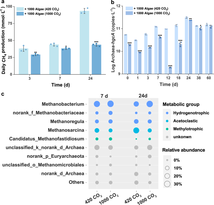 Fig. 3: Activity, abundance, and metabolic types of methanogens are impacted by elevated CO2.