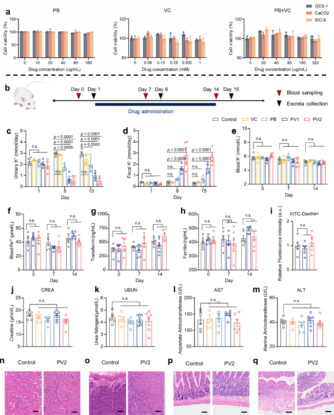 Fig. 4: Assessment of biosafety of PB + VC.