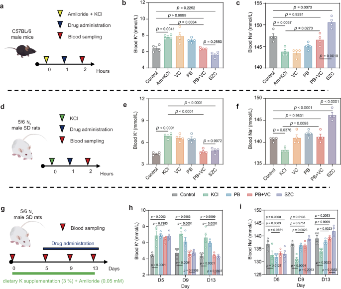 Fig. 5: Evaluation of the therapeutic efficacy of PB + VC in the models of hyperkalemia.