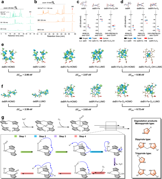 Fig. 5: Effect of Fe²⁺ on the stability of biliverdin (BV) and bilirubin (BR).
