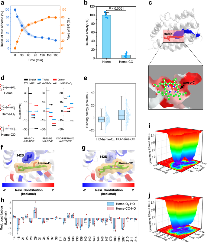 Fig. 7: Analysis of CO’s impact on heme coordination and utilization by RnHO-1Δ22.