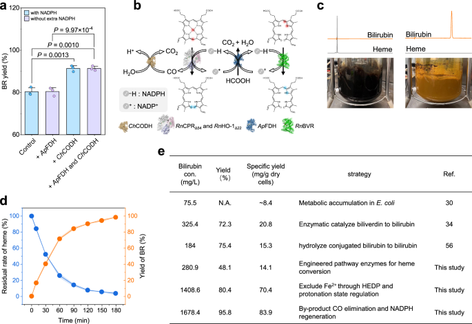 Fig. 8: Multi-enzyme cascade system for high-efficiency BR synthesis.