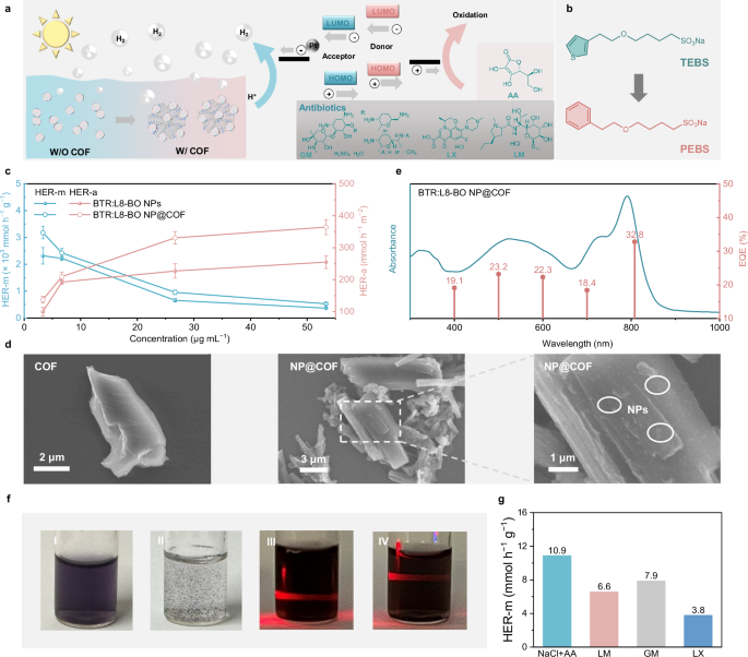Fig. 5: Photocatalytic hydrogen evolution.