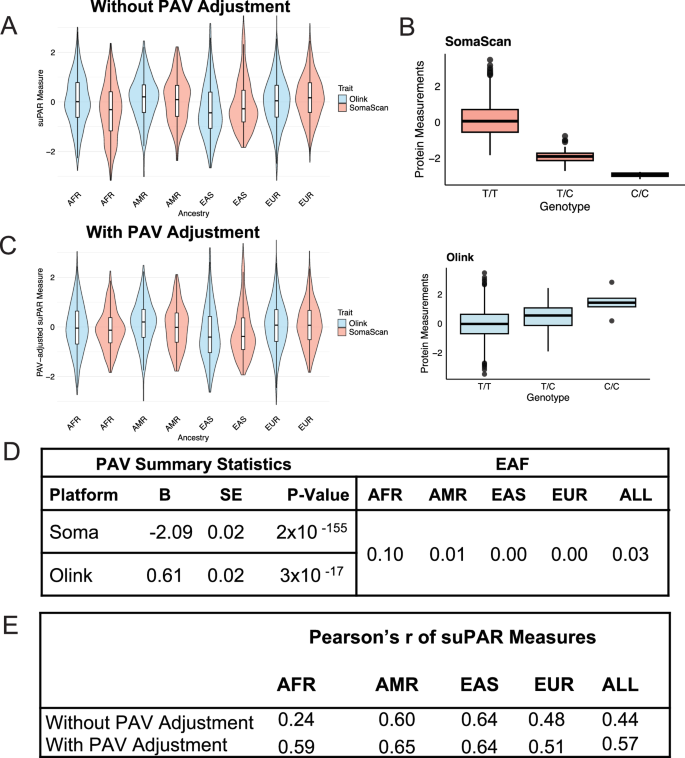 Fig. 5: Adjustment for suPAR-associated, ancestry-differentiated PAV improves correlation of suPAR measures across all participants, with improvement driven by individuals of African ancestry.