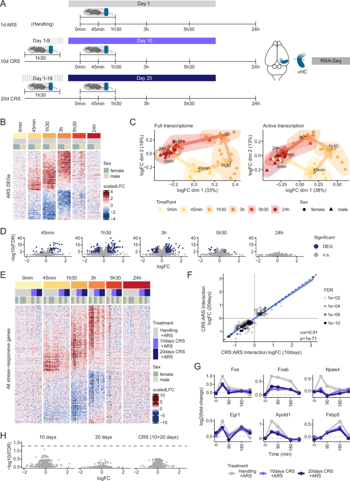 Fig. 1: Global transcriptomic habituation in response to repeated restraint stress.