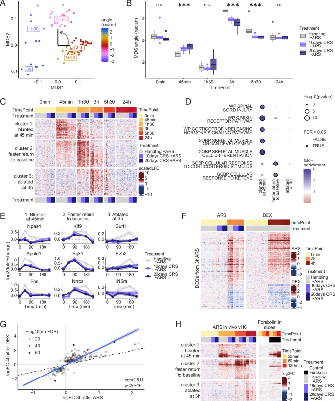 Fig. 2: Temporal dynamics reveal different mechanisms of habituation.